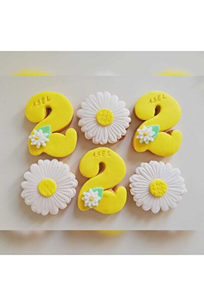 telaşe memuru 20 Pieces Daisy Themed Boutique Cookies 1.2.3.4.5.6.7.8.9 Age B...