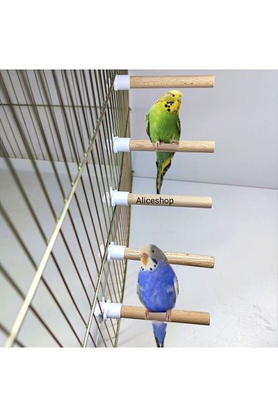 aliceshop 5 Pieces of First Quality Wooden Perches - 12mm Thick 10cm Long