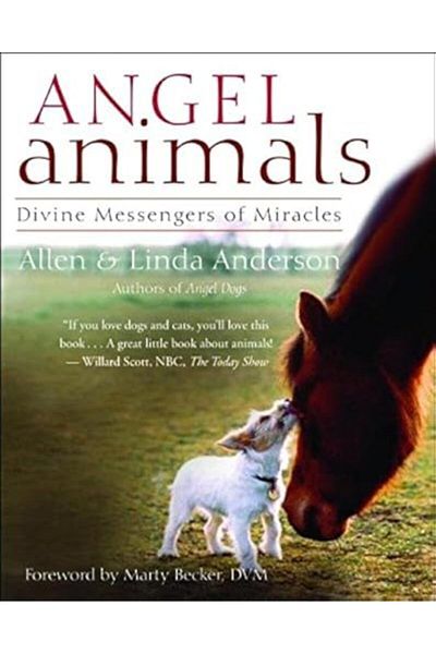 Ingram Angel Animals Divine Messengers Of Miracles