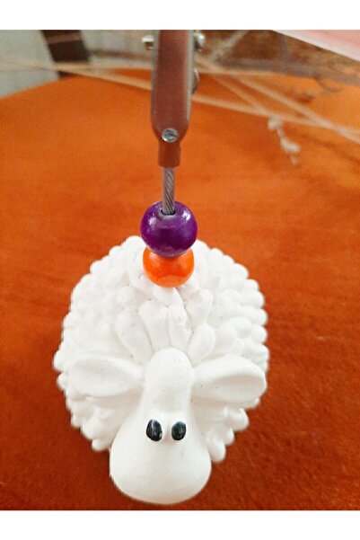 Rota Hediyelik Not Tutucu Fotoğraf Tutucu Kuzu Notluk