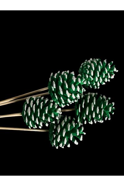 ART PINE DEKORATİF NATURAL BAMBOO DOĞAL KOZALAK DEMETLERİ , MASAÜSTÜ BAHÇE EV...