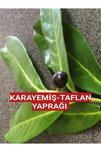 Nutyen 250 gram Karayemiş-taflan-laz Kirazı Yaprağı (GÜNLÜK DALINDAN TOPLAMA)