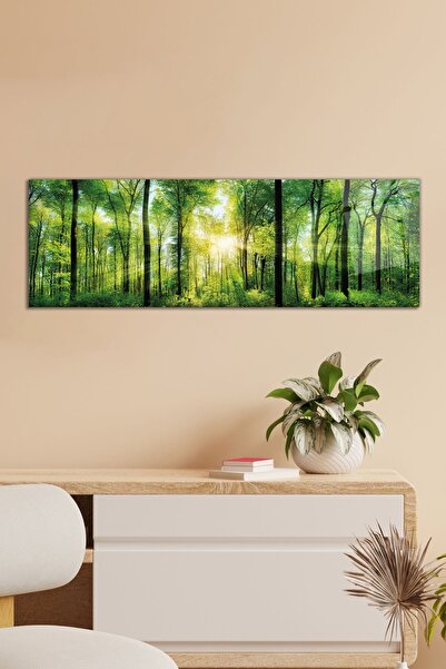 Vosevu Güneş Yansıması Yeşil Orman Panoramik Cam Tablo, Modern Ev Ofis Dekor,...