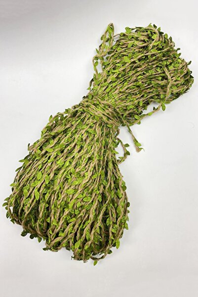 Limelia Panglică de frunze de răchită verde 100 m