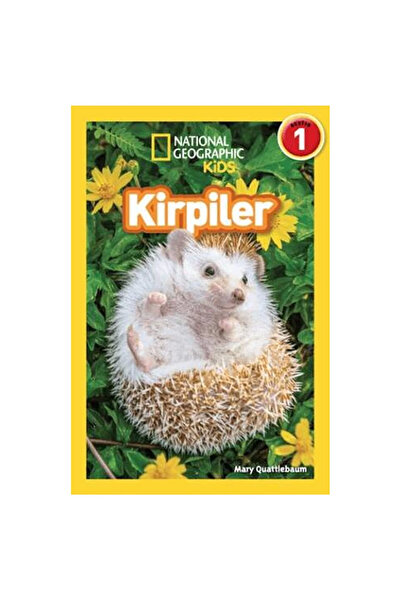 TOYFEST Educational Hedgehogs Book for Children