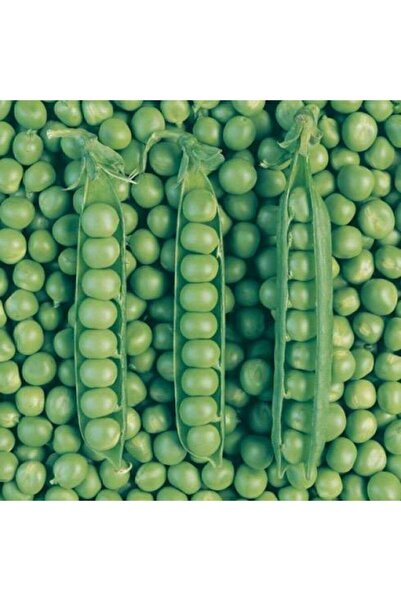 Genel Markalar Tohumculuk Utrillo Iri Boy Bezelye Tohumu 50 Adet