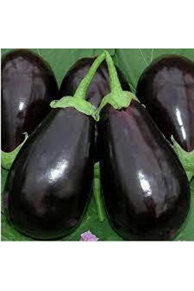 ata tohumculuk 20 Adet Tohum Dolmalık Bostan Palıcanı Tohumu Patlıcan Tohumu ...