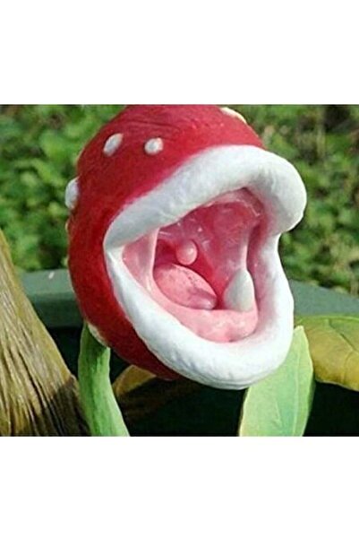 Serdar Çam Tohumculuk Nadir Ithal Etobur Bitki Çiçeği Tohumu Sinek Kapan Etçi...