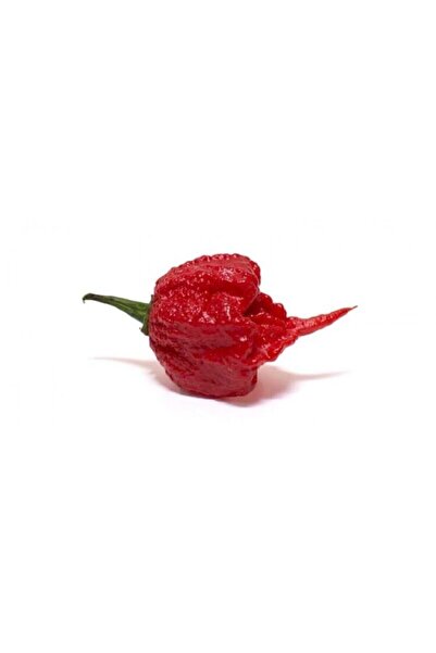 FarmLife Tohum Farmlife Orjinal Carolina Reaper Biberi Tohumu
