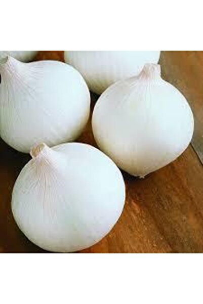 ata tohumculuk 50 Adet Tohum Nadir Bulunan Beyaz Kışlık Kuru Soğan Tohumu Kuru Beyaz Soğan