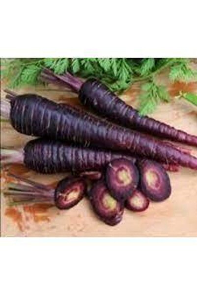 ata tohumculuk 100 Adet Tohum Esvet Mor Havuç Şalgam Tohumu Süpriz Hediye Toh...