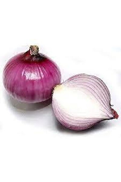ata tohumculuk 50 Adet Tohum Yerli Mor Soğan Tohumu Ata Tohum Kırmızı Soğan T...