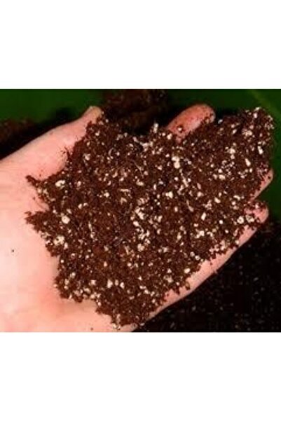 ata tohumculuk Bonsai Ağacı Tohumu Özel Karışım 5 Litre