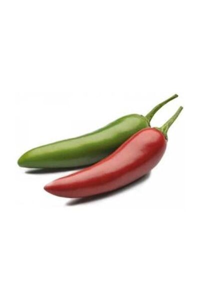 Genel Markalar İthal Jalapeno Kırmızı Acı Meksika Biberi Tohumu 5 Adet Tohum
