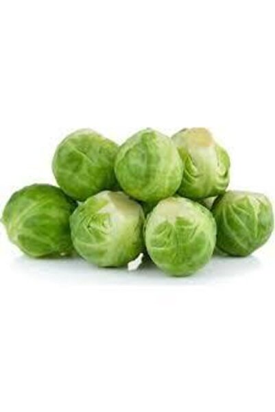 ata tohumculuk 20 Adet Tohum Yerli Bürüksel Lahana Tohumu Sürpriz Hediye Tohu...