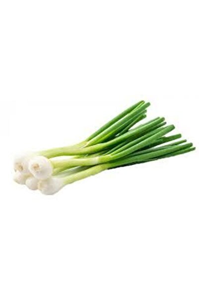 ata tohumculuk 50 Adet Tohum Taze Firik Acısız Yeşil Soğan Tohumu Ata Tohum S...