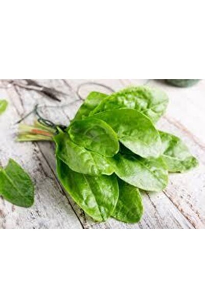 ata tohumculuk Tohum Kuzu Kulağı Tohumu Koç Kulağı Ekşi Otu  50 Adet