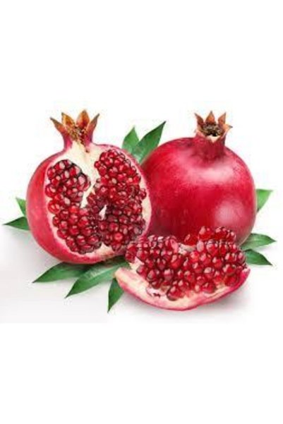 ata tohumculuk 5 Adet Tohum Nar Ağacı Tohumu