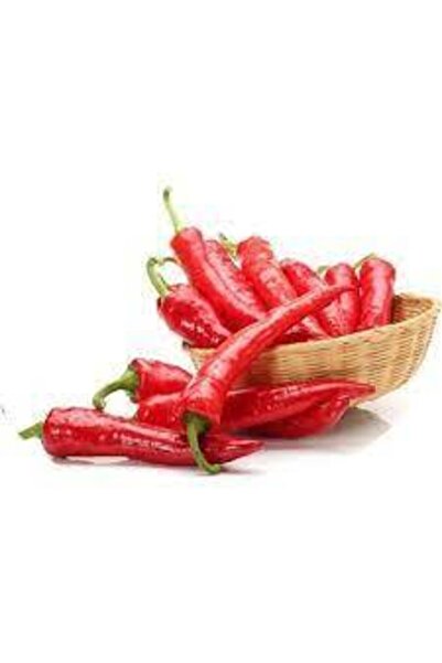 ata tohumculuk Adana Karaisalı Hafif Acı Salçalık Biber Tohumu 50 Adet