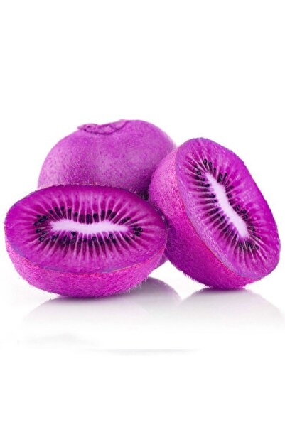 Serdar Çam Tohumculuk Nadir Ithal Mor Kivi Ağacı Tohumu 5 Adet Tohum Purple Kivi