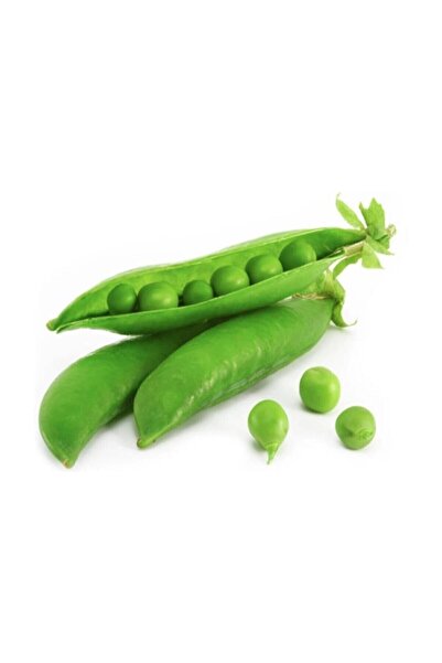 Çam Tohumculuk Bezelye Tohumu 10 Adet Tohum Sebze Tohumu