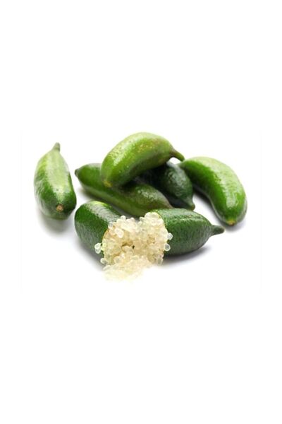 Serdar Çam Tohumculuk Nadir İthal Parmak Limon Tohumu 3 Adet Tohum