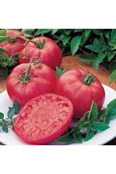 ata tohumculuk 150 Adet Tohum Iri Pembe Domates Tohumu Orjinal Köy Domatesi