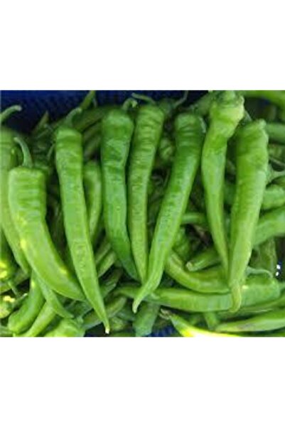 ata tohumculuk 25 Adet Tohum Sivri Tatlı Demre Biber Tohum Demre Biber Tohumu...