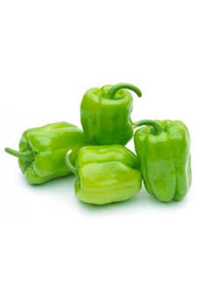 ata tohumculuk 100 Adet Tohum Süper Paket Beyaz Tatlı Dolmalık Biber Dolma Bi...