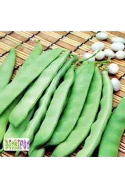 ata tohumculuk 50 Adet Tohum Kılçıksız Sırık Ayşe Kadın Fasülye Fasulye Tohum...