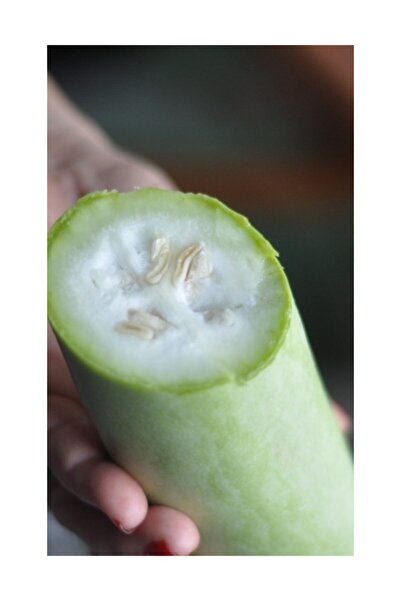 Serdar Çam Tohumculuk Süper Paket 75 Adet Tohum Nadir Haylan Sıyırma Kabağı T...