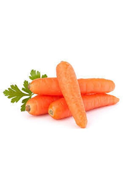 ata tohumculuk 100 Adet Tohum Havuç Etli Erkenci Nantes Havuç Tohumu