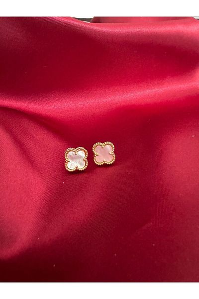 Vaveyla Steel Earring Top Segment Written Earring