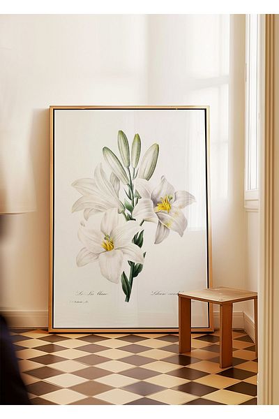 ARTHOUSECOLLECTIVE Αφίσα White Lily - Pierre J.r. - Βοτανική αφίσα - Αφίσα χωρίς πλαίσιο για ζωγραφική