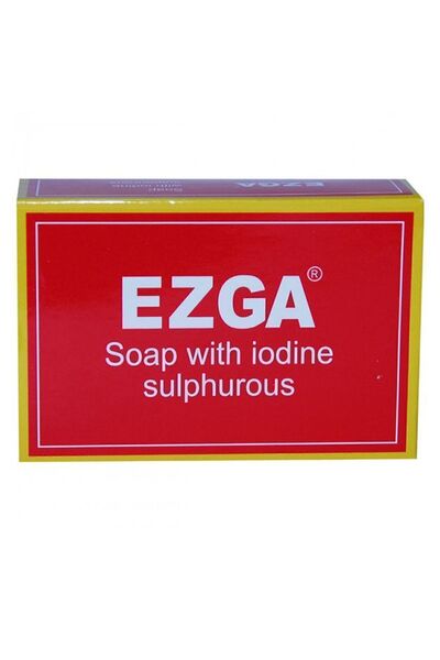 Ezga صابون الأكزيما 100 جرام
