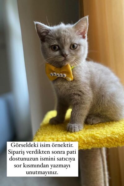 Minikpaw aksesuar Isimli Papyon Tasma Sarı