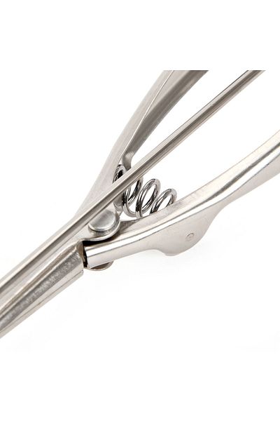 Benante Gray Ice Cream Spoon
