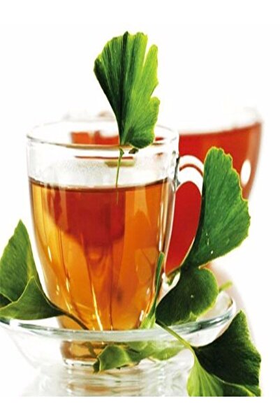 Tisan الجنكة بيلوبا 28 جم