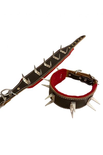 Sürmeli Tasma Genuine Leather Black Dog Collar - Puppy Kangal Shepherd Breed, Small and Medium