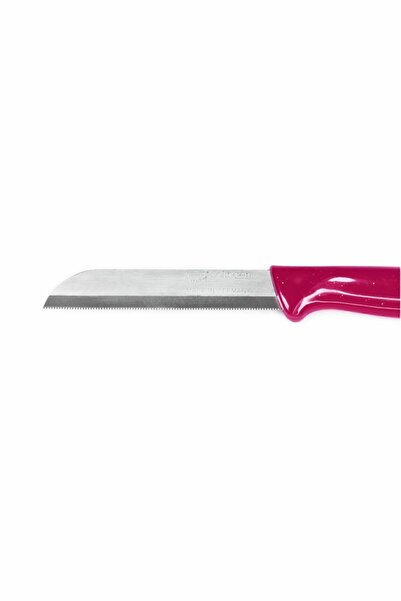 Solingen Pembe Simli Delikli Meyve Bıçağı Seti 6'lı
