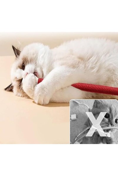 bite pet حبل مضغ للقطط مع جرس للخدش