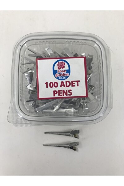 ROSEHOME مينيل فاشن مشبك شعر ألومنيوم 100 قطعة