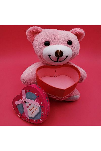 NOY Special Gift Boxed Teddy Bear for Valentine's Day