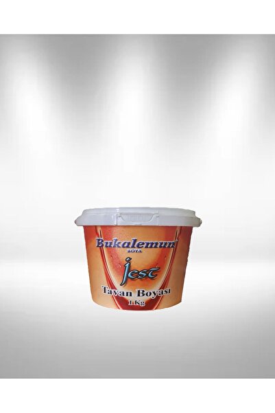 Bukalemun Jest Tavan Boyası 1 kg