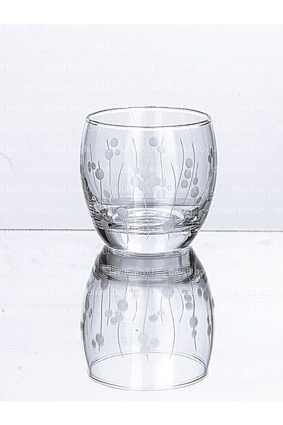 DECOSTYLE Bamboo Decor Empire 6 Piece Water Glass