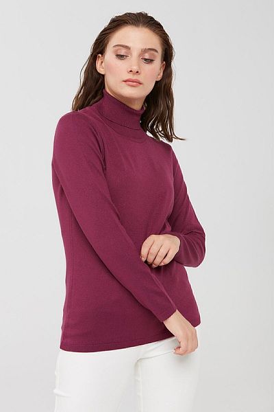 Desen Triko Γυναικεία Lycra μακρυμάνικη Basic Full Bluz Fisherman Plum