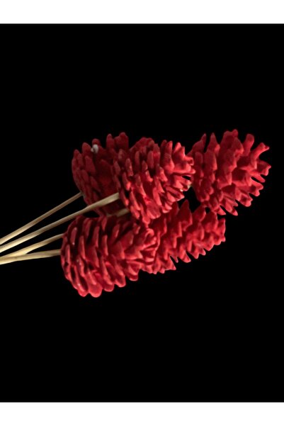 ART PINE DEKORATİF NATURAL BAMBOO DOĞAL KOZALAK DEMETLERİ , MASAÜSTÜ BAHÇE EV...