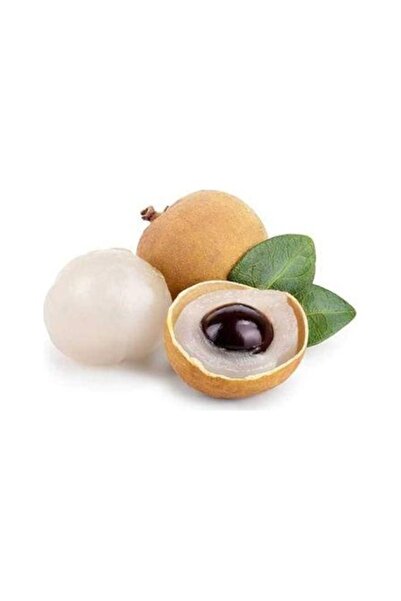 Köy Tohumları 1 Adet Tohum Nadir Organik Tropikal Uzak Doğu Eşder Gözü Langon...