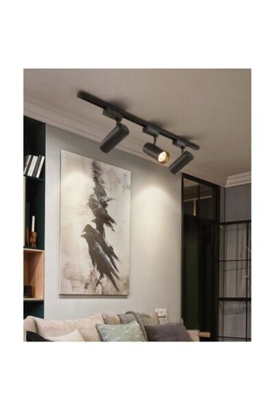 BİZCE LED PARK Rayspot 30w Siyah Kasa Günışığı 3adet Spot 1adet 1mt Ray