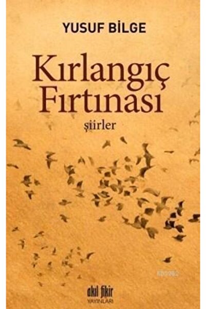 Akıl Fikir Yayınları Kırlangıç Fırtınası / Yusuf Bilge / / 9786055283797
